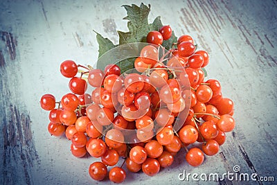 Vintage photo, Bunch of red viburnum with leaves on rustic wooden background Stock Photo