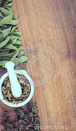 Vintage photo, Fresh green and dried mint with mortar, healthy lifestyle concept Stock Photo