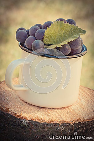 Vintage photo, Grapes with leaf in metallic mug on wooden stump in garden on sunny day Stock Photo
