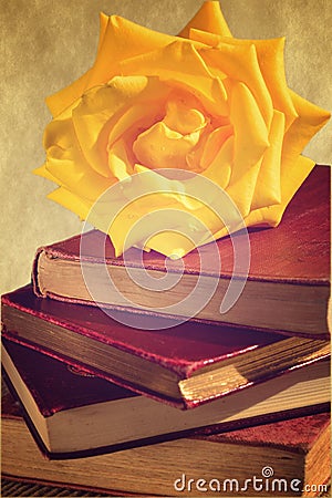 Vintage photo of three red roses and two heart-shaped cookie cutters in the background. Concept of Valentine`s Day celebration, Stock Photo