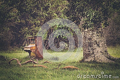 A vintage piano left outdoors Stock Photo