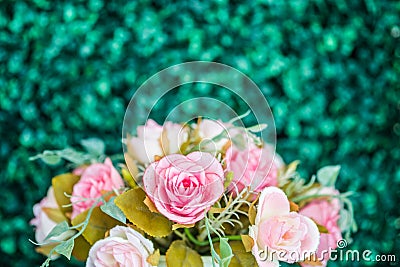 Vintage pink rose Stock Photo