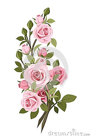 Vintage pink roses branch. Vector Illustration