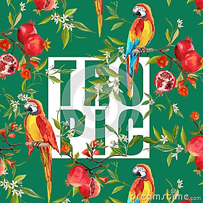 Vintage Pomegranates, Flowers and Parrot Birds Vector Illustration