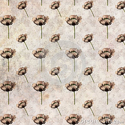 Vintage poppy pattern Stock Photo