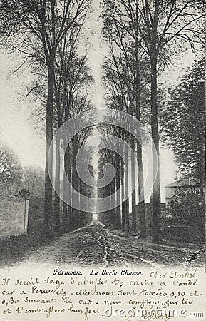 Vintage postcard from 1904, the beginning of the 20th century showing La Verte Chasse, today Rue de la verte chasse in PÃ©ruwelz Editorial Stock Photo