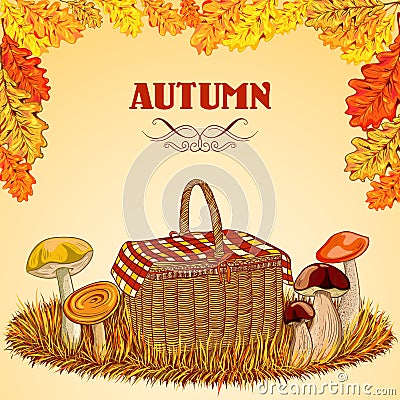 Vintage poster autumn with mushrooms, basket, autumn leaves and grass. Vector illustration. Vector Illustration