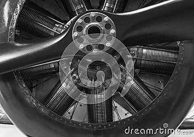 vintage propellor aeroplane engine close up, in black and white Stock Photo
