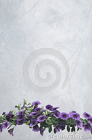 Vintage purple petunia flowers on vertical cool gray oil painting canvas Stock Photo