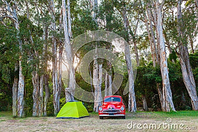 Vintage red car and small green tent under trees. Editorial Stock Photo