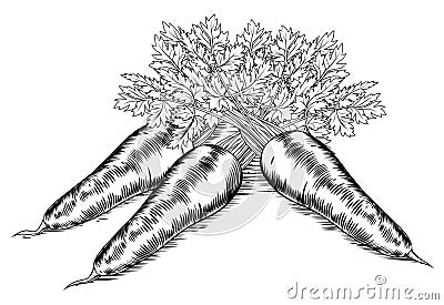 Vintage retro woodcut carrots Vector Illustration