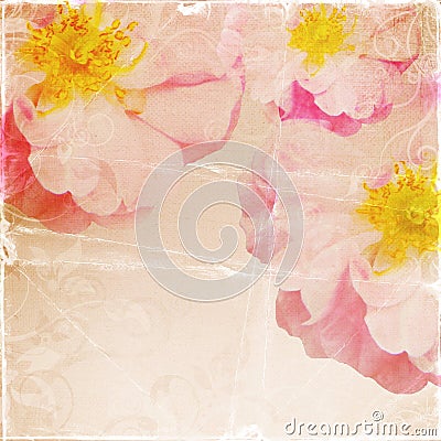 Vintage romantic paper background Stock Photo