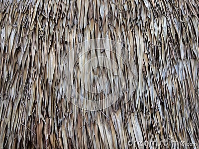 Vintage roof made from dry palm leaf. Stock Photo