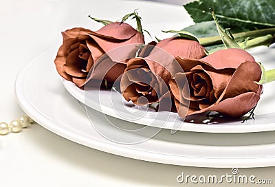 Vintage Roses on white background. Romantic composition for Valentine`s Day, Anniversary, Events. Place for text Stock Photo