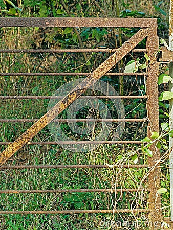 Vintage Rusted Mild steel Fence Against Gree Grass and Plants At The Musai Village Stock Photo