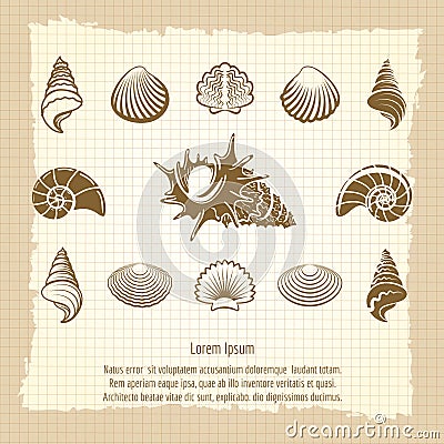 Vintage sea shell silhouettes set Vector Illustration