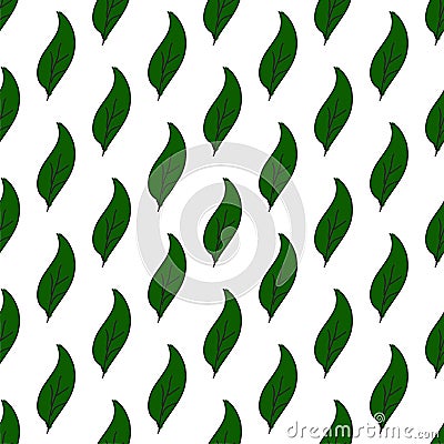 Vintage seamless leaves pattern. Hand drawn green leaves on white. Abstract vector background. Simple style. Vector Illustration