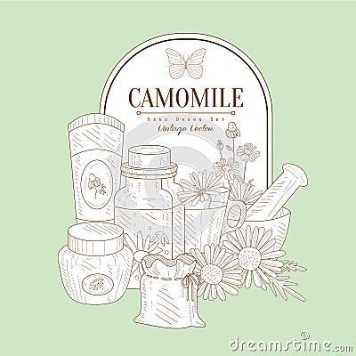 Vintage Sketch With Camomile Cosmetics Vector Illustration