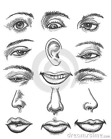 Vintage sketch human face parts Vector Illustration