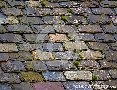 Vintage Slate Tile Roof Stock Photo