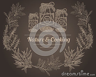 Vintage spice jars chalk board nature and cooking herbs Vector Illustration