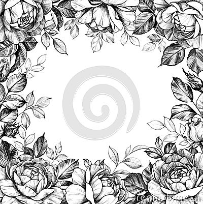 Vintage Square Border with Roses and Leaves Stock Photo