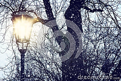 Vintage street lamp and bare trees at snowy winter twilight Stock Photo