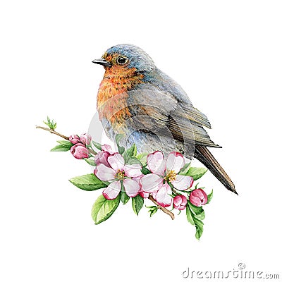 Vintage style robin bird with tender flowers illustration. Hand drawn songbird and spring flower decor. Beautiful retro Cartoon Illustration