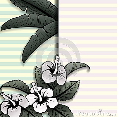 Vintage style tropical banner with hibiscus Vector Illustration