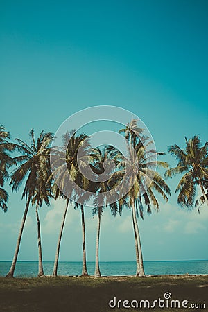 Vintage stylized palm trees Stock Photo