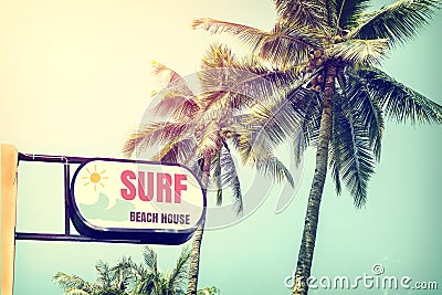 Vintage surf beach house signage and coconut palm tree on tropical beach blue sky Stock Photo