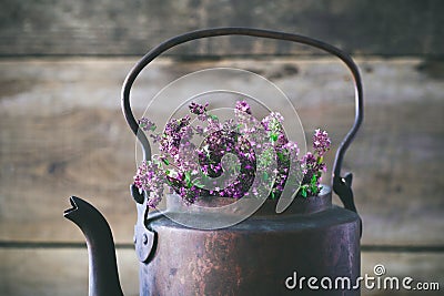 Vintage tea kettle full of thyme flowers for healthy herbal tea. Stock Photo