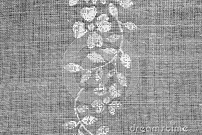 Vintage textile texture Stock Photo