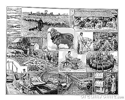 Vintage Textile or wool industry collage hand drawn / Antique engraved illustration from from La Rousse XX Sciele Cartoon Illustration