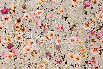 Vintage texture with Pink Flax flowers Stock Photo