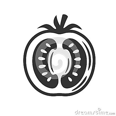 Vintage tomato isolated on white background Vector Illustration