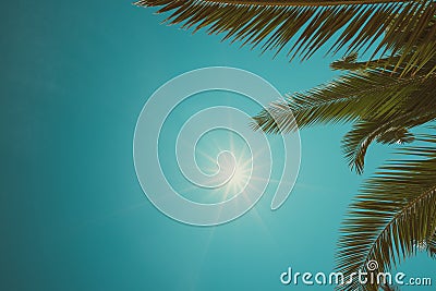 Vintage toned palm trees border composition Stock Photo