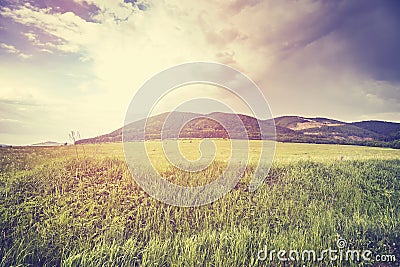 Vintage toned peaceful rural landscape at sunset Stock Photo