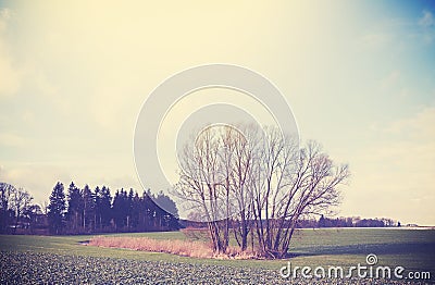 Vintage toned peaceful rural landscape. Stock Photo