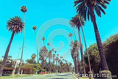 Vintage toned street in Beverly Hills with famous palms along the road Stock Photo