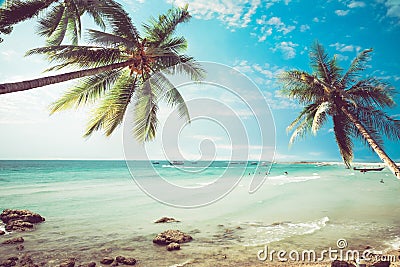 Vintage tropical beach seascape with palm tree in summer Stock Photo