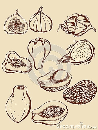Vintage tropical fruits Vector Illustration