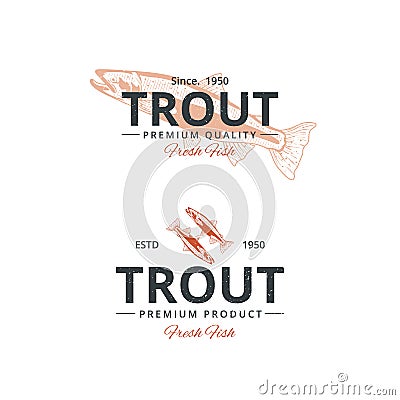 Vintage trout fish logo template Vector Illustration