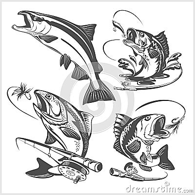 Vintage trout fishing emblems and design elements Vector Illustration