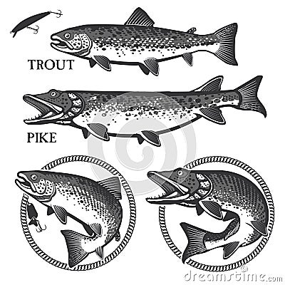 Vintage trout fishing emblems, labels and design Vector Illustration