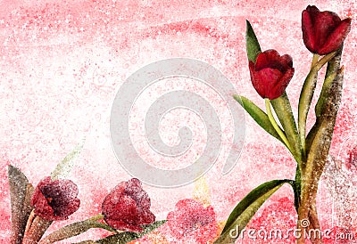 Vintage tulip Stock Photo