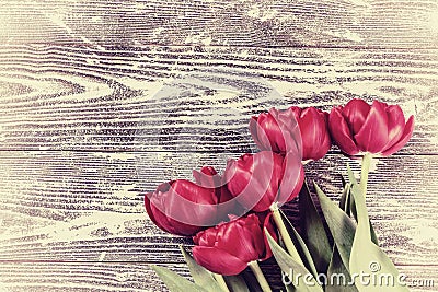 Vintage Tulip Flowers on Wooden Backdrop Stock Photo