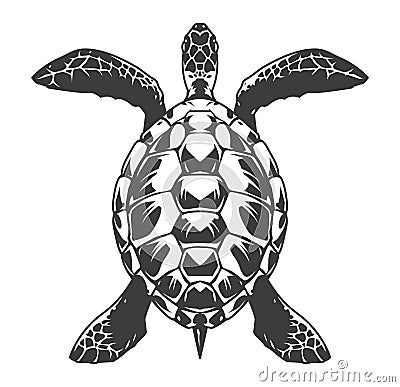 Vintage turtle top view concept Vector Illustration