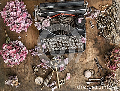 Vintage typewriter hortensia flowers old keys still life Stock Photo