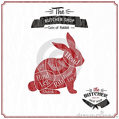 Vintage typographic rabbit butcher cuts diagram Vector illustration on vintage background. Vector Illustration